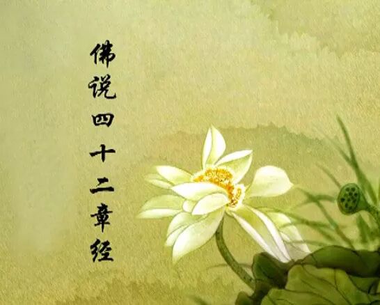 【佛经语录】修道过程中如何保持恒心，精进不退？