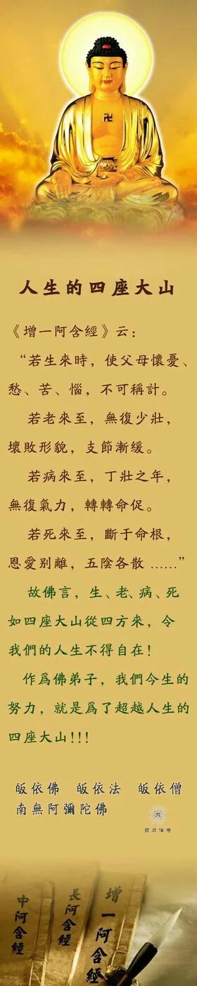【佛经语录】超越人生的四座大山