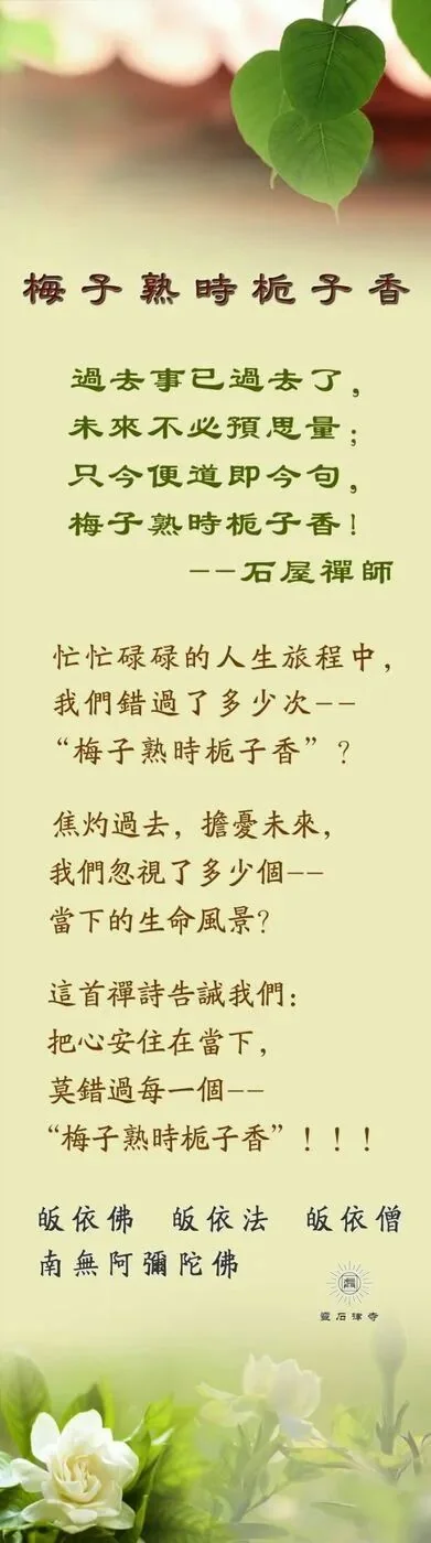 【禅诗一首】石屋禅师：梅子熟时栀子香