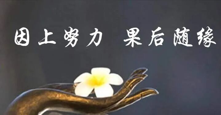 【甘露法语】什么是真正的随缘？