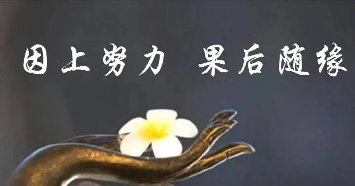 【甘露法语】什么是真正的随缘？