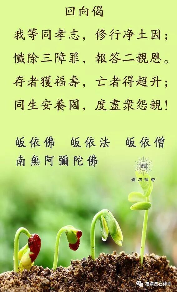 【孝亲报恩专题】这三种“孝”，我们能做到多少？