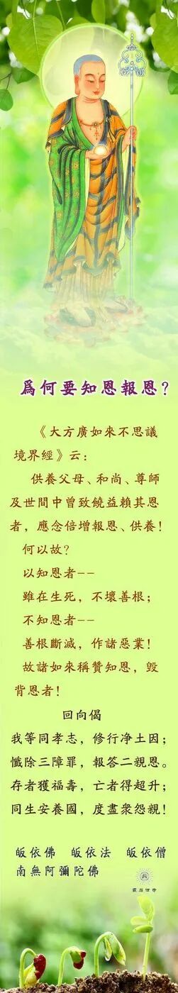 【孝亲报恩专题】为何要知恩报恩？