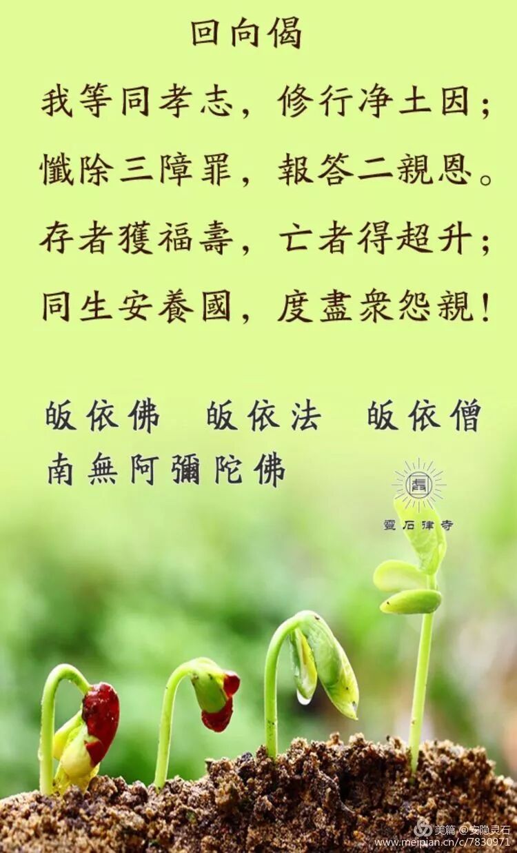 【孝亲报恩专题法语】父母是世间第一福田，  供养功德有多大？
