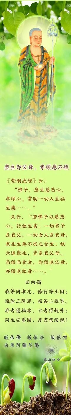 【孝亲报恩法语】众生即父母，孝顺应不杀​！​