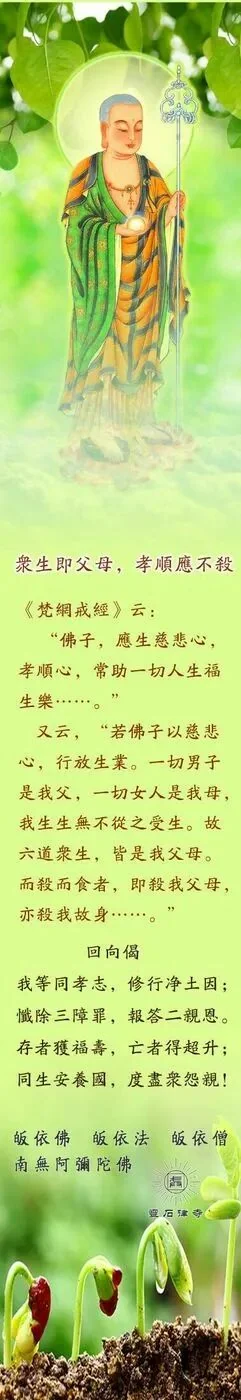 【孝亲报恩法语】众生即父母，孝顺应不杀\u200b！\u200b