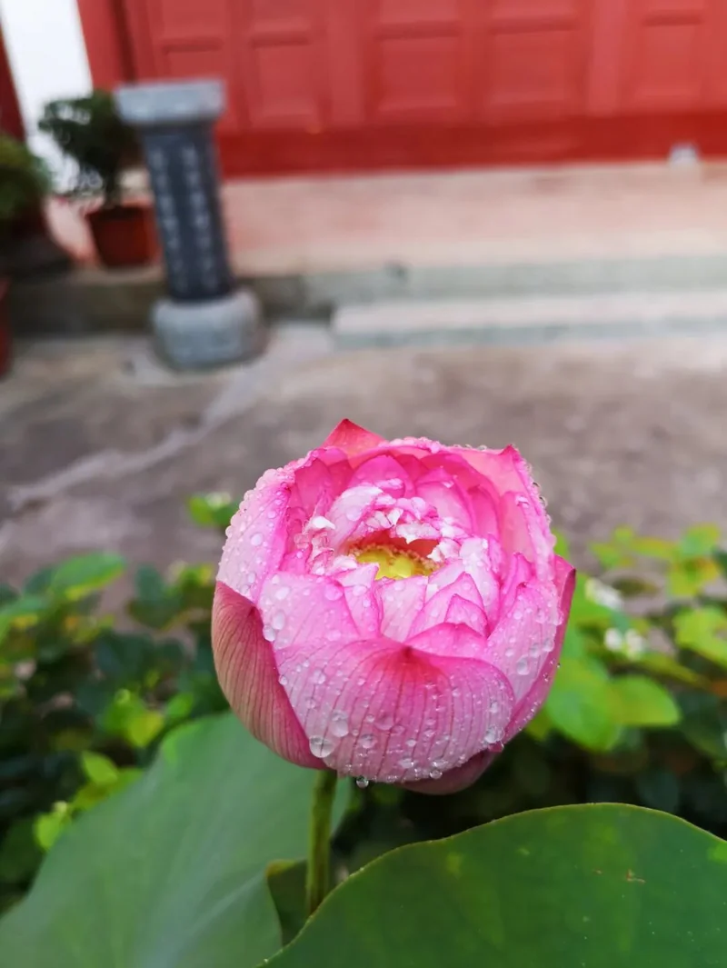 【经论语录】难行道与易行道，差别有多大？（二）