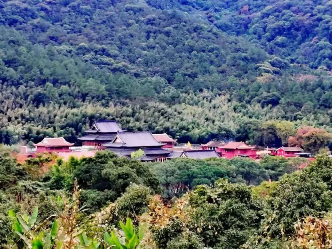 【剪影】庚子冬至灵石律寺全体师僧礼塔祭祖