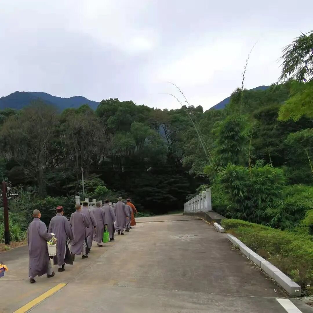 【剪影】庚子冬至灵石律寺全体师僧礼塔祭祖