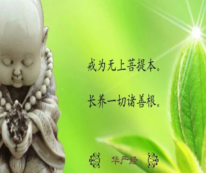【灵石梵呗】恭迎藏经之讚颂三藏：律藏