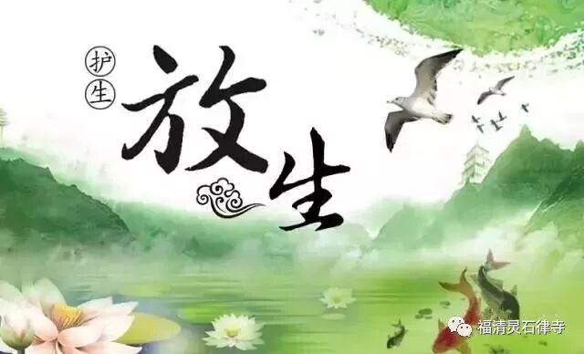【春节专题法语】懂得这一放生须知，功德胜于普通放生百倍！