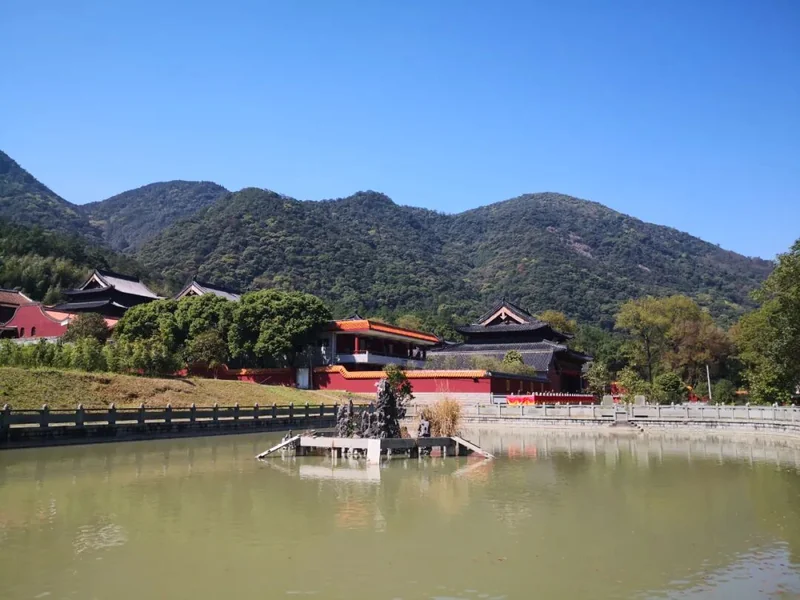 【灵石掠影】大众云集