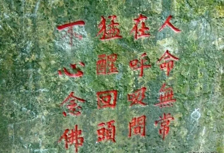 【关于生死心切的专题法语】莲池大师：来自无常的消息