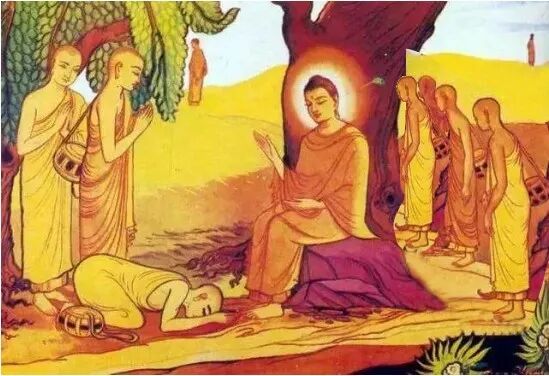 【劳动节专题法语】佛说扫地的五种功德！试问我们真会“扫地”吗？