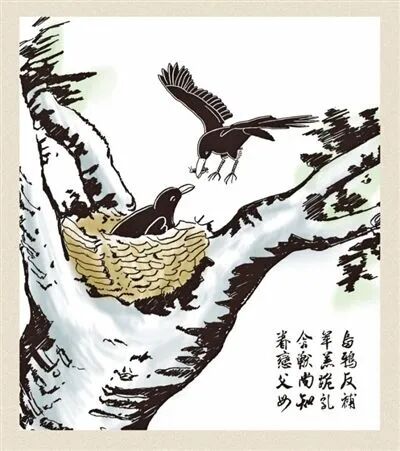 【孝亲报恩专题法语之七】佛陀因地故事：孝顺的鹦鹉