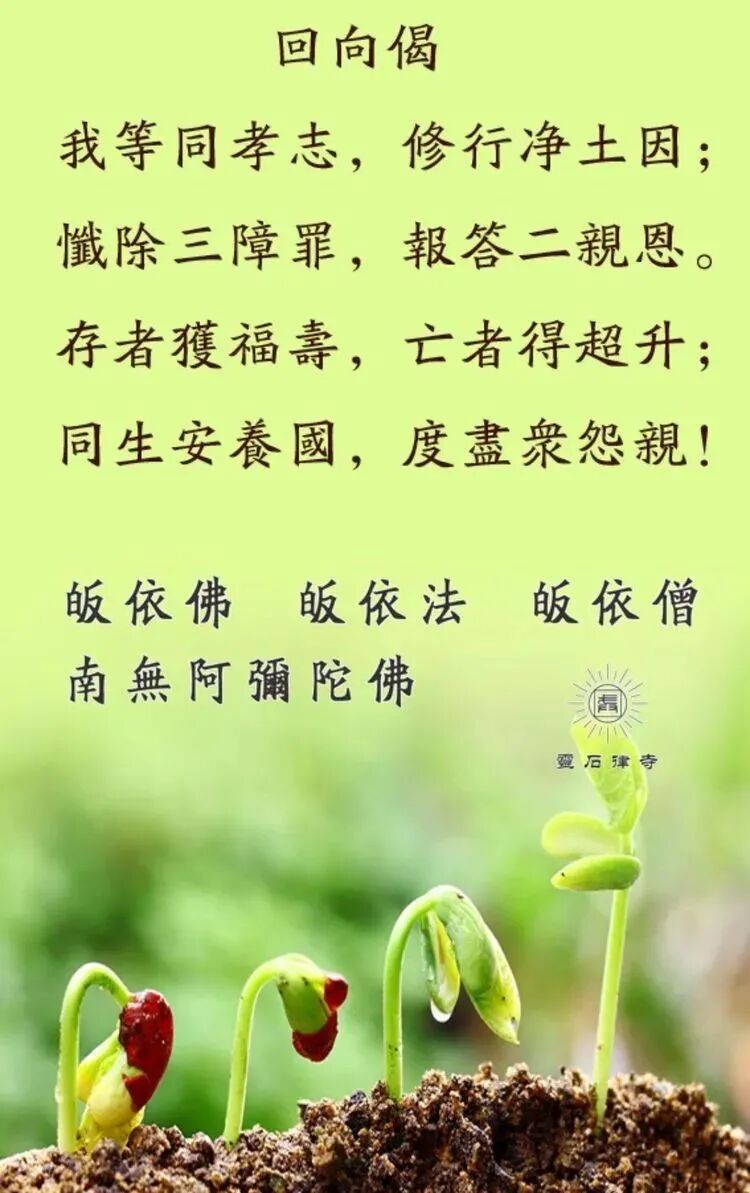 【孝亲报恩专题法语之七】佛陀因地故事：孝顺的鹦鹉