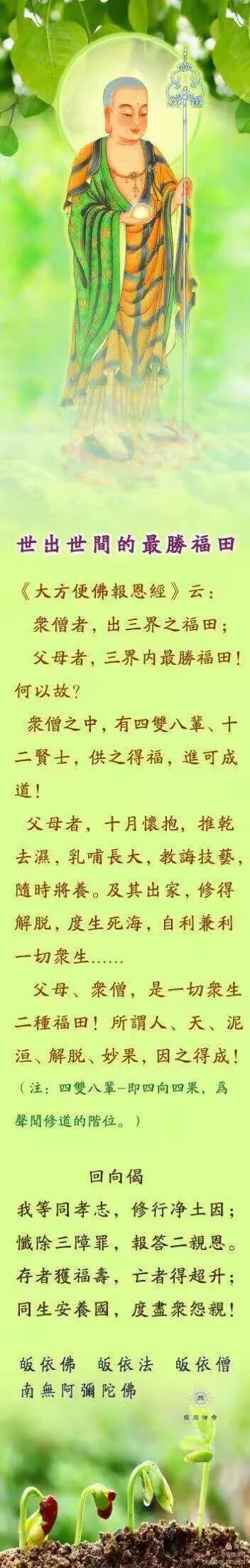 【孝亲报恩法语之八】佛经语录：世出世间的最胜福田！