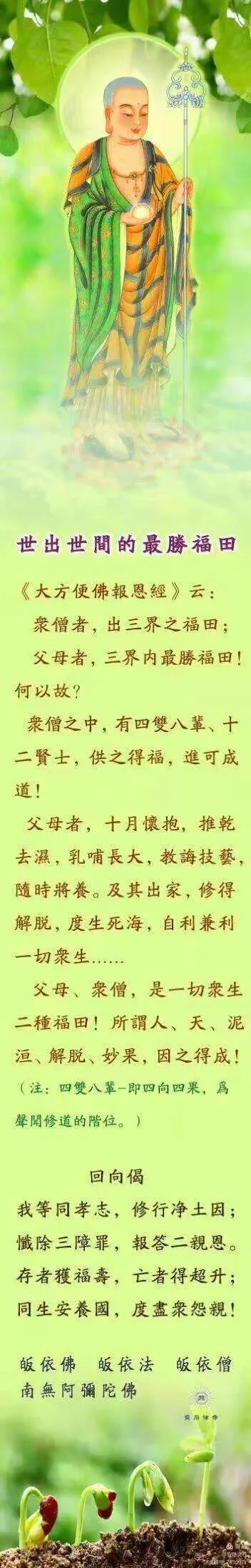 【孝亲报恩法语之八】佛经语录：世出世间的最胜福田！