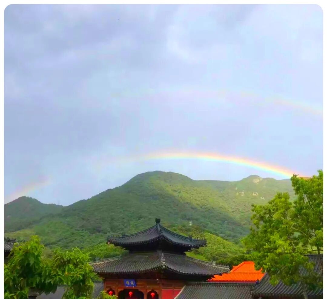 【节日专题法语】鹊桥仙·七夕：普愿天下诸有情，终成菩提眷属！
