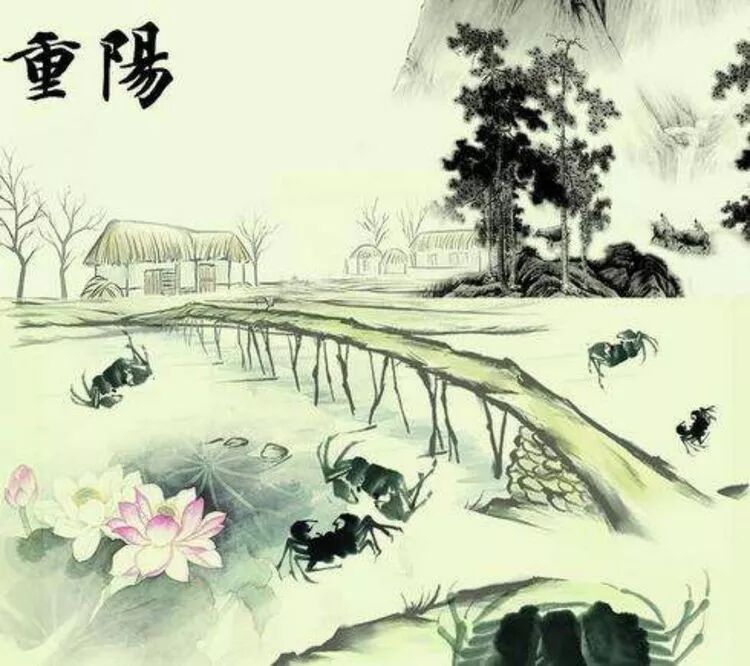 【节日专题法语】重阳佳节谈“孝亲”