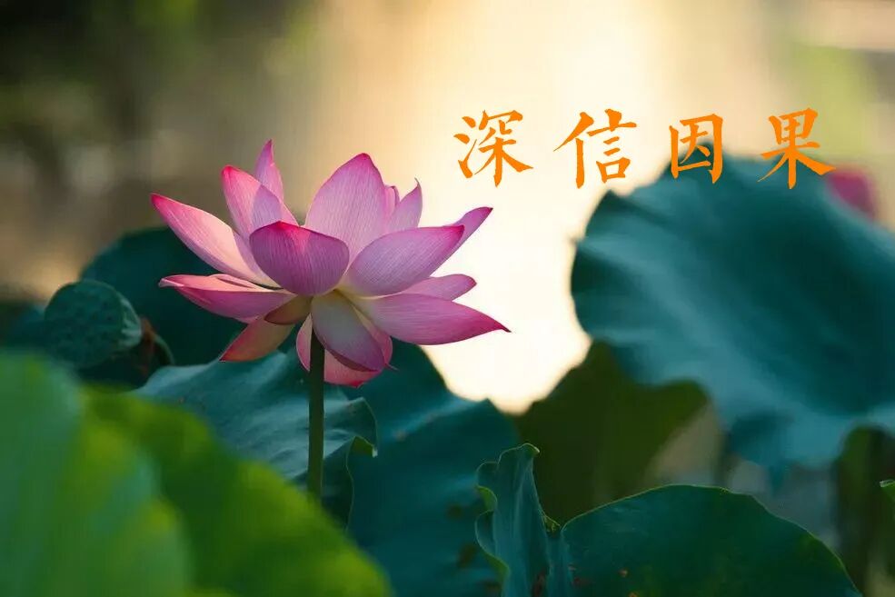 【祖师开示】弘一大师：佛门最简单的三种修行方法（一）：深信因果