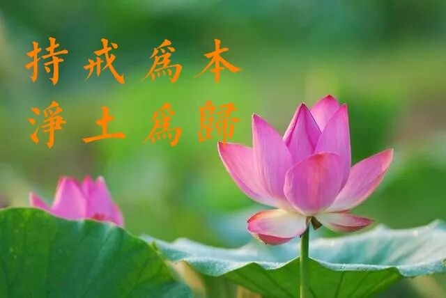 【经言祖语之持戒篇29】​蕅益大师：持戒念佛，本是一门！