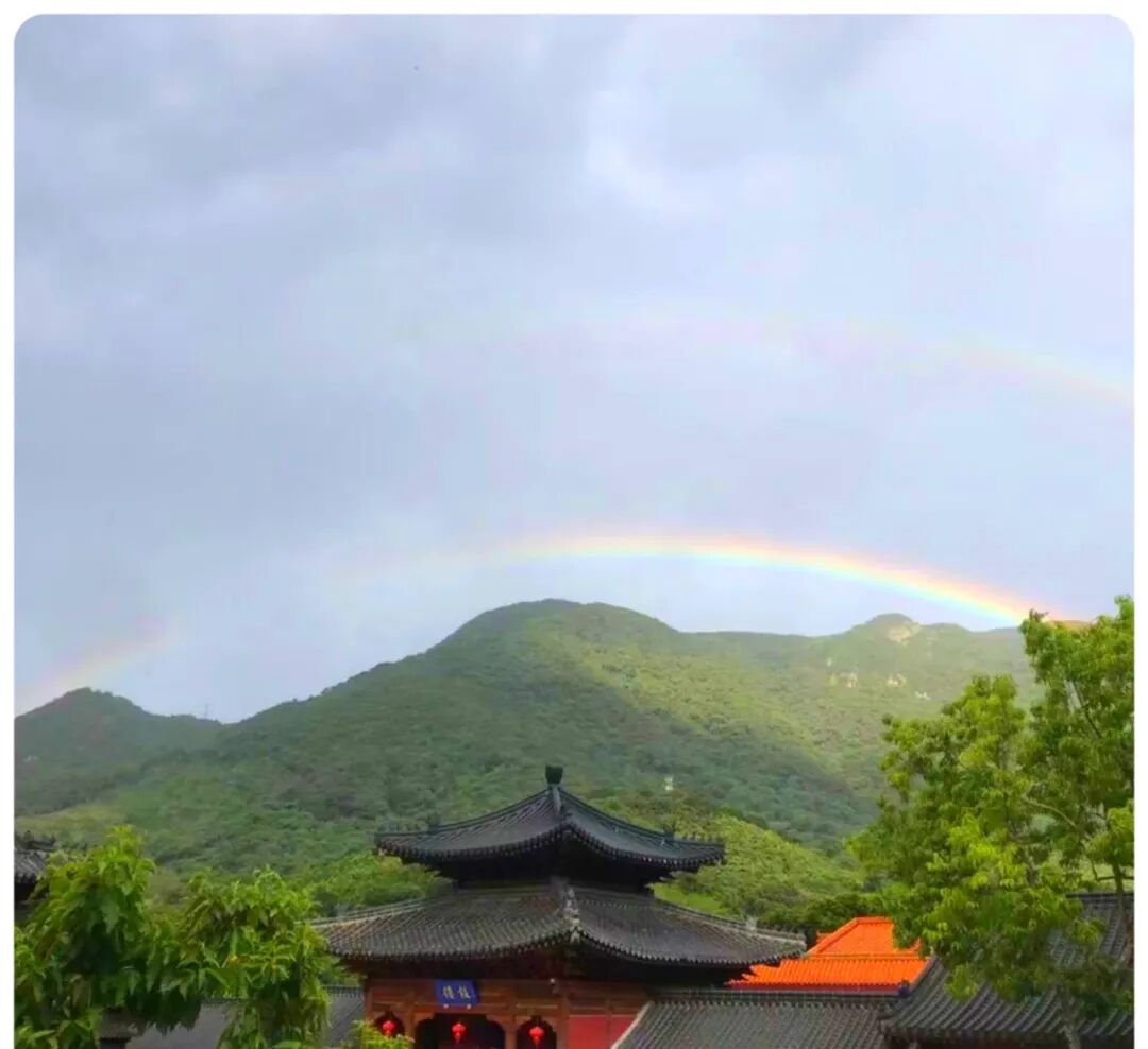 【甘露法语】法藏法师：修行，就是一路找苦吃！