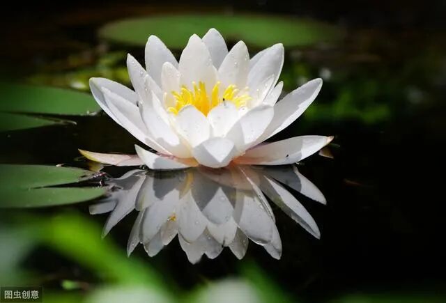 【佛经故事】白发老翁为何才四岁？