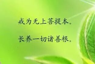 【经言祖语之持戒篇34】具此无尽种种功德，故学戒能自利利他！（未完待续）