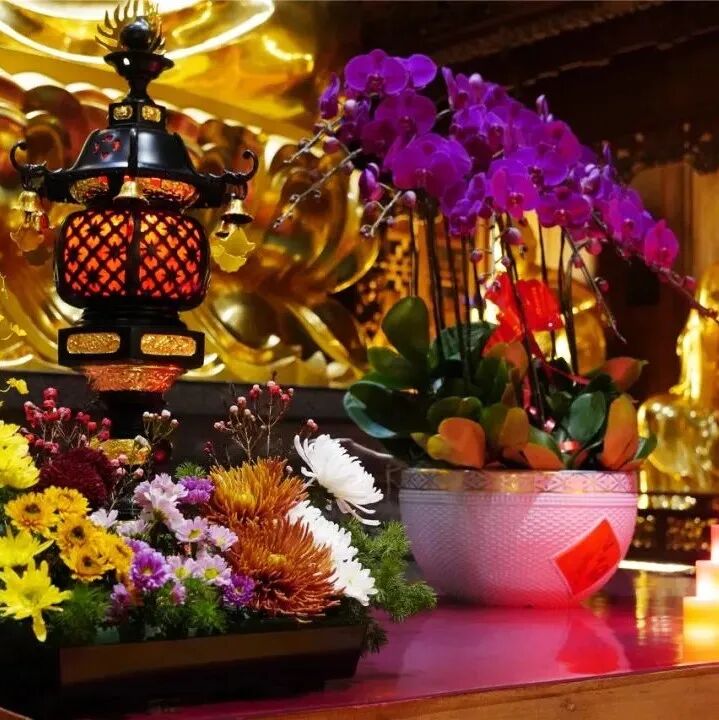【佛圣诞专题法语】释迦如来成道赋（一）