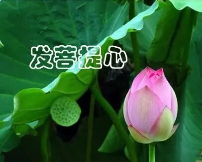 【甘露法语】法藏法师：什么是菩提心？