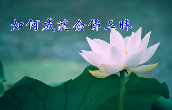 【经言祖语之念佛篇15】《观佛三昧海经》 ：如何成就念佛三昧？