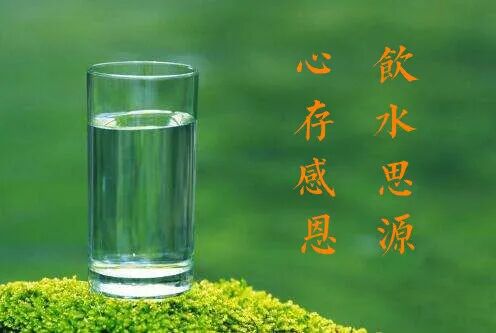 【甘露法雨】法藏法师：饮水思源，方能于法恭敬！