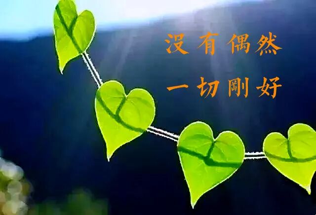 【甘露法语】法藏法师：一切都是刚刚好！