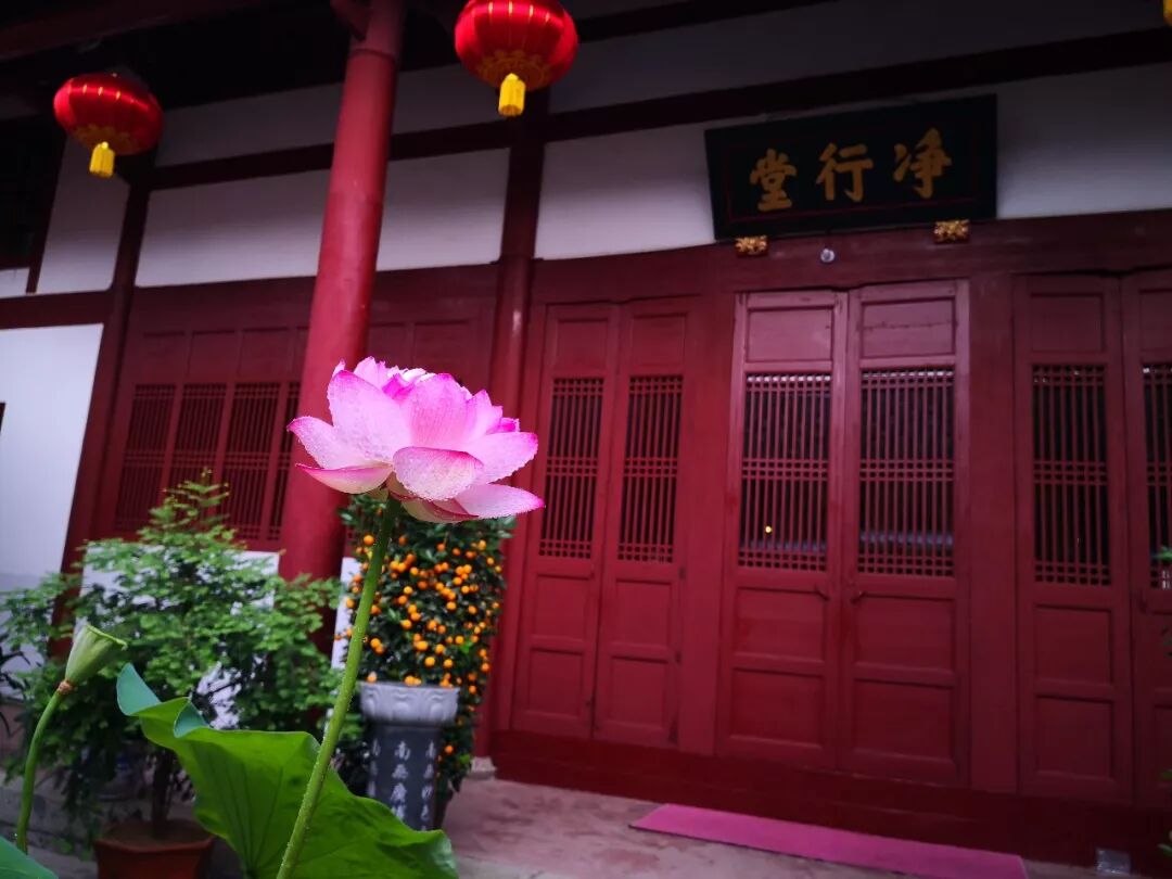 【佛佑中华 国泰民安】清明祭祖，慎终追远（三）：超荐对亡者有何功德利益？