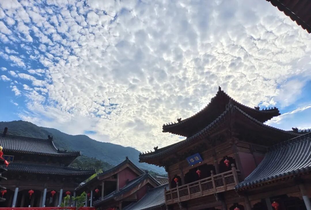 【佛佑中华 国泰民安】他年净土花开处，记去娑婆念佛时！