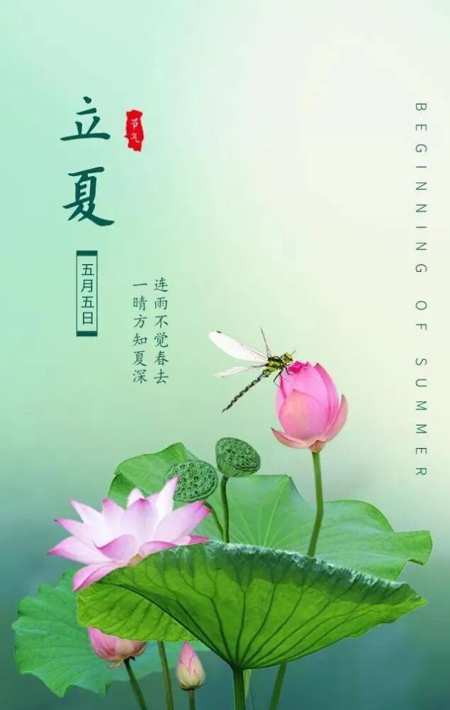 【佛佑中华 国泰民安】立夏清和念佛忙，句句弥陀自承当！
