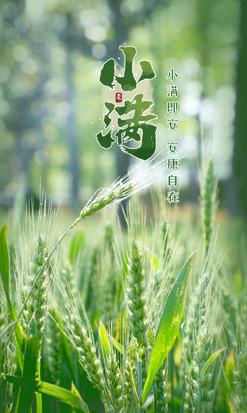 【佛佑中华 国泰民安】今日小满，正好念佛：小满持名意味长，一尘不立最清凉！