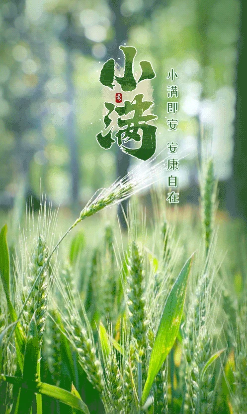 【佛佑中华 国泰民安】今日小满，正好念佛：小满持名意味长，一尘不立最清凉！
