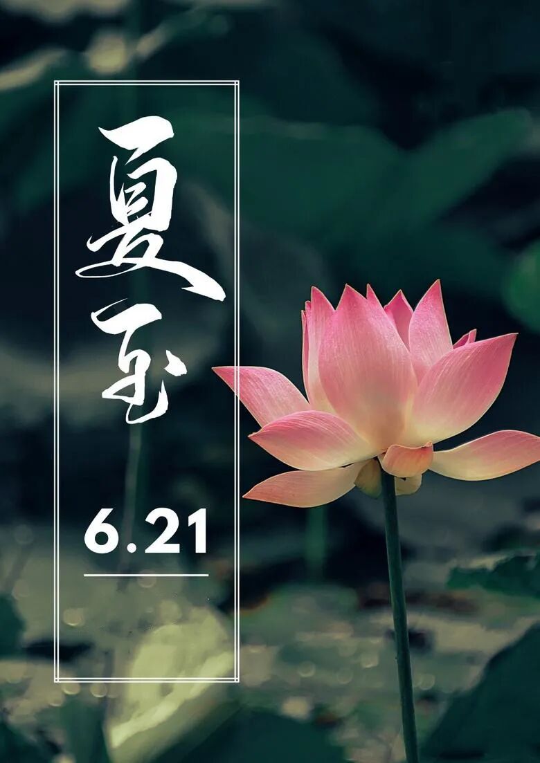 【佛佑中华 国泰民安】今日夏至，正好念佛：如如一句弥陀佛，转识成智一刹那！