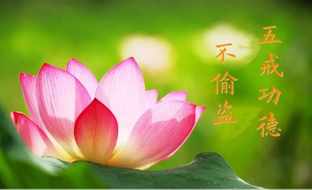【持戒法语49】《十善业道经》：不偷盗获十种功德！