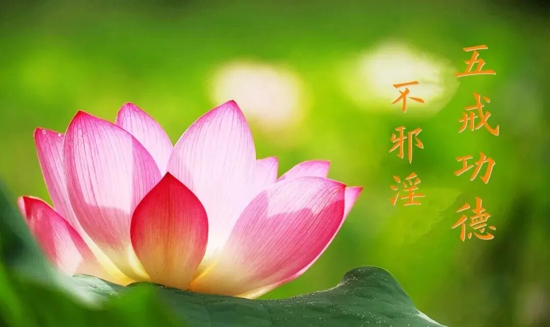 【持戒法语50】《十善业道经》：不邪淫获四种善果，一种相好！