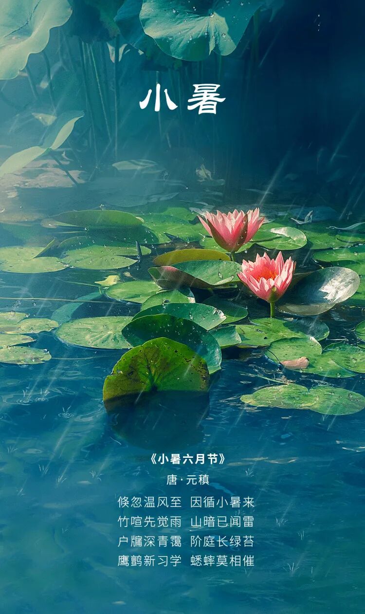 【佛佑中华 国泰民安】今日小暑，正好念佛：净中念佛常安乐，句句弥陀分外明！