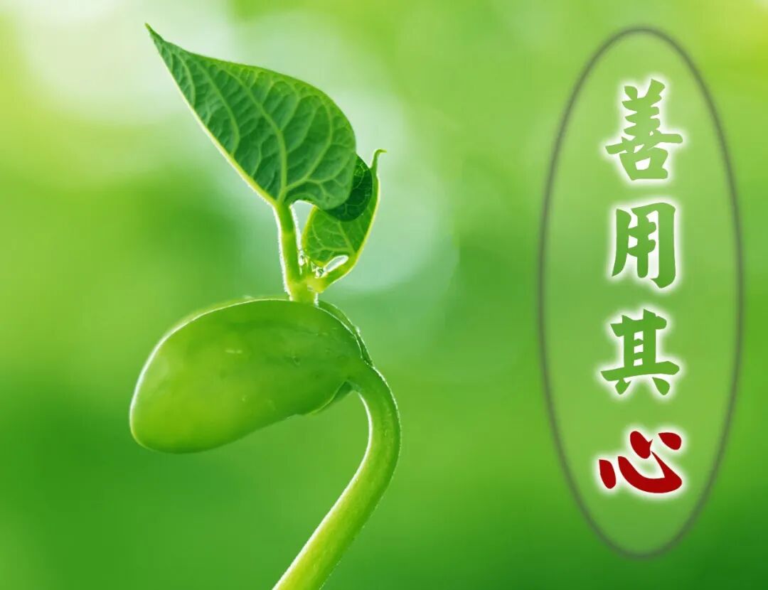 【甘露法语】净界法师：善用其心，掌握未来生命！