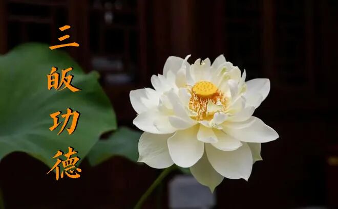 【佛经故事】天子受皈，免堕猪身！（二）