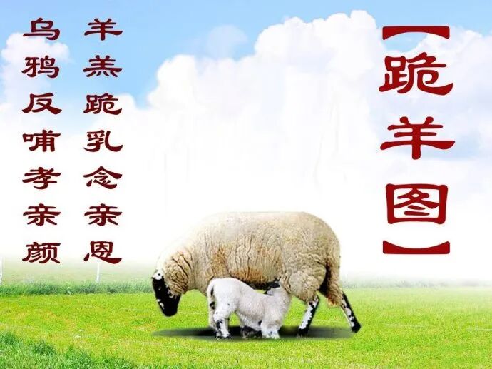 【孝亲报恩专题法语之五】佛陀因地故事：孝顺的鹦鹉