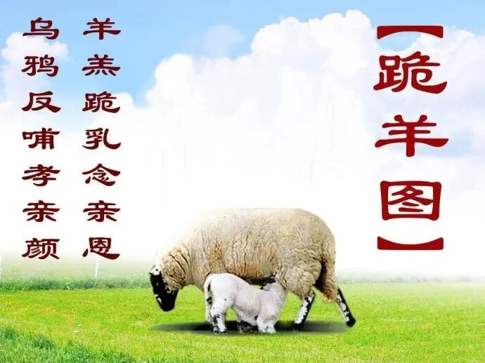 【孝亲报恩专题法语之五】佛陀因地故事：孝顺的鹦鹉
