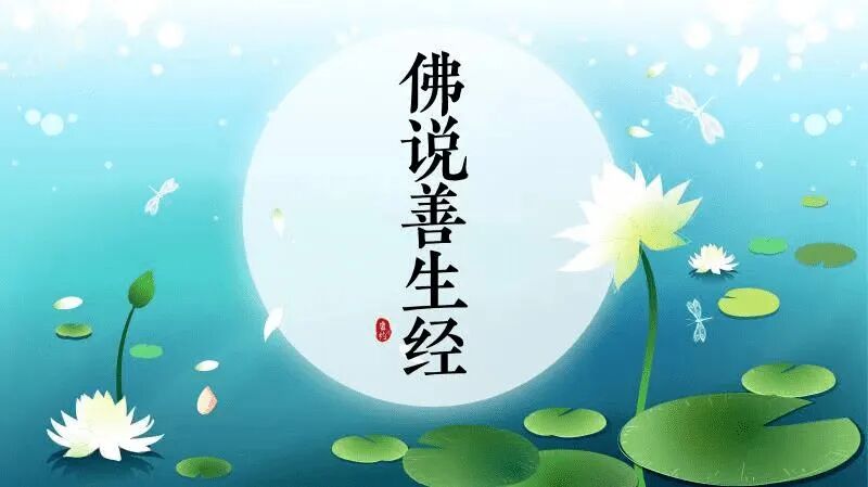 【孝亲报恩法语之十五】敬顺父母的五件事，我们做到了吗？