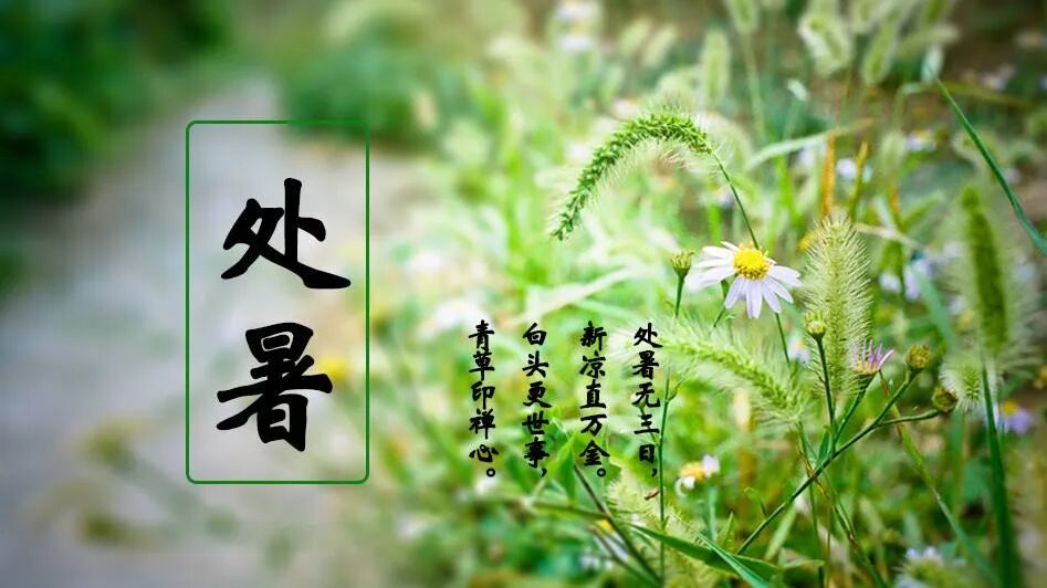 【二十四节气念佛偈】今日处暑，正好念佛：处暑寒来道易生，六时佛号更虔诚！