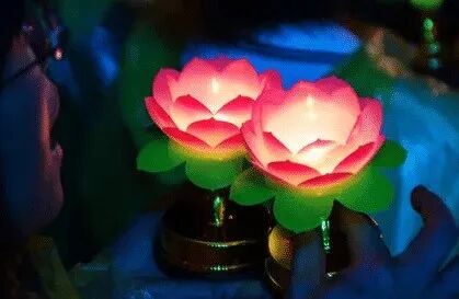 《华严经》：菩提心灯，烦恼尽除！